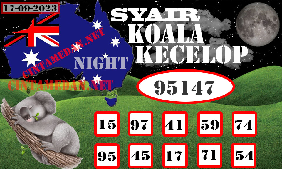 SYAIR%20KOALA%20KECELOP.jpg