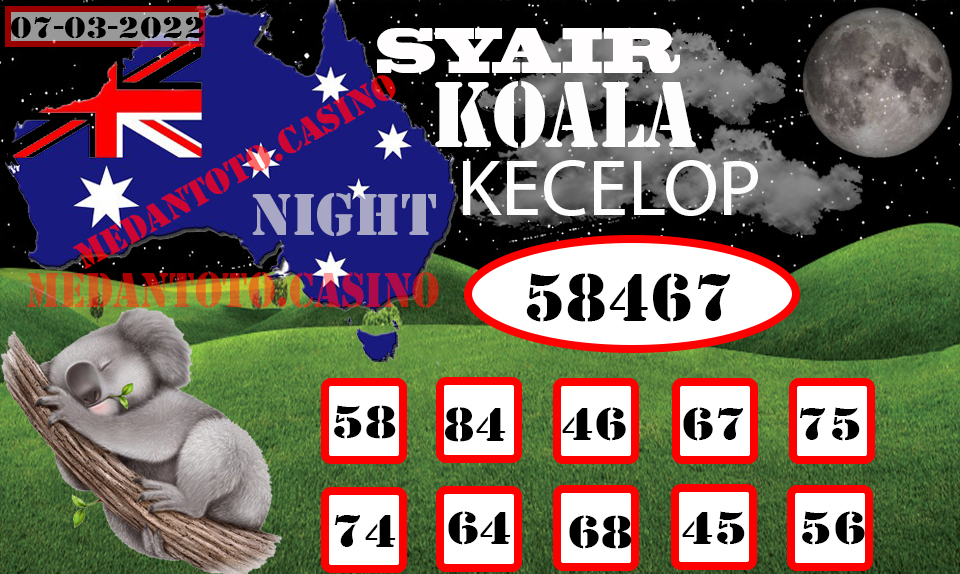 SYAIR%20KOALA%20KECELOP.jpg