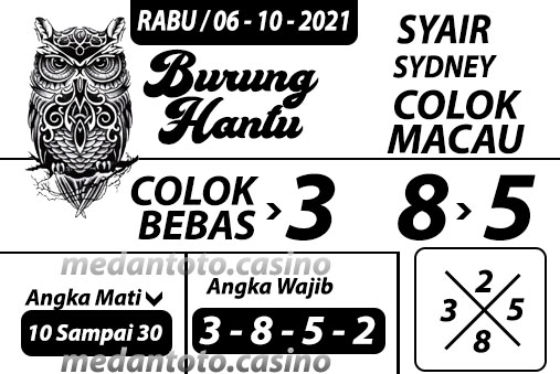 BURUNG%20HANTU%20SYDNEY%20RABU%2006%20SEPT%20UGIK.jpg