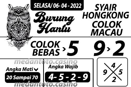 SYAIR%20BURUNG%20HANTU%20HONGKONG.jpg