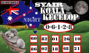 SYAIR KOALA KECELOP.jpg