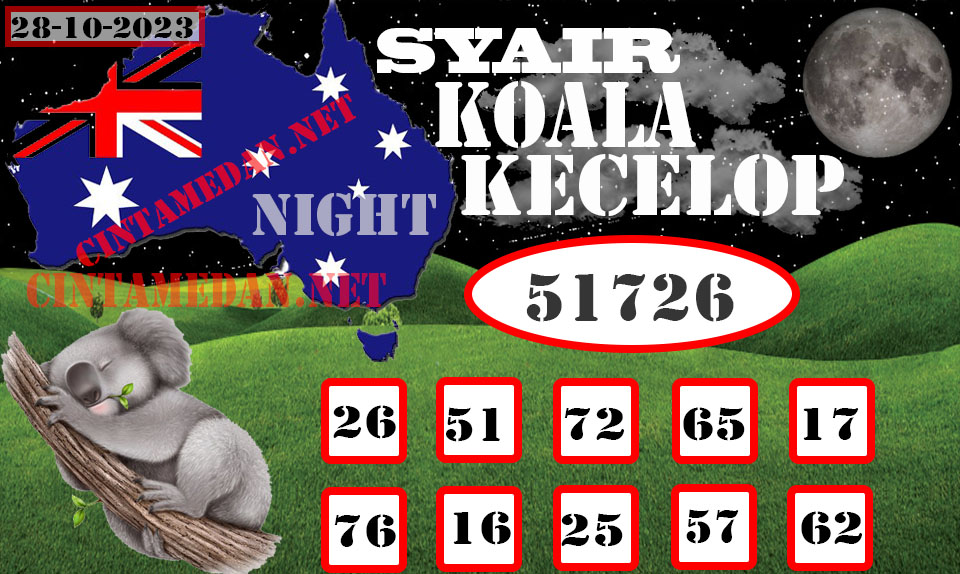 SYAIR%20KOALA%20KECELOP.jpg