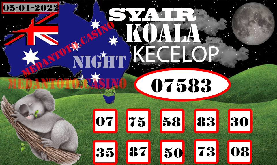 SYAIR%20KOALA%20KECELOP.jpg