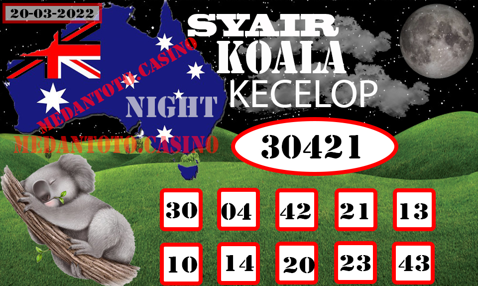 SYAIR%20KOALA%20KECELOP.jpg