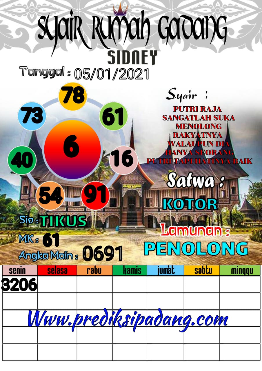 SDY.jpg