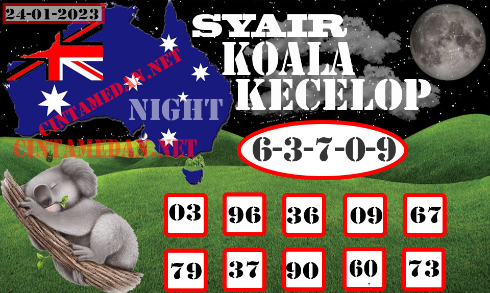 SYAIR%20KOALA%20KECELOP-NEW.jpg