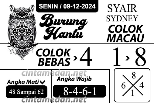 Syair%20burung%20hantu%20SYD%20.jpg