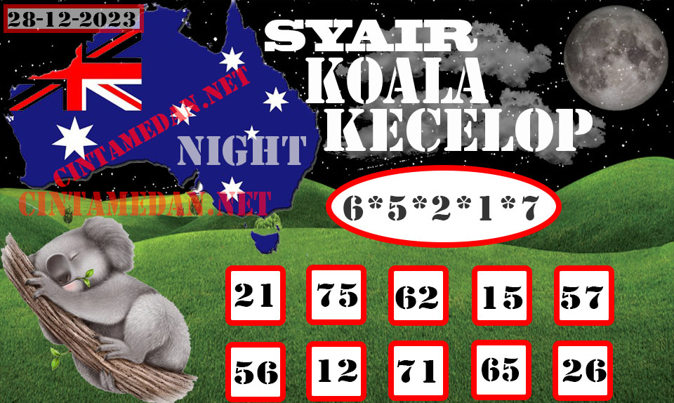 SYAIR%20KOALA%20KECELOP.jpg