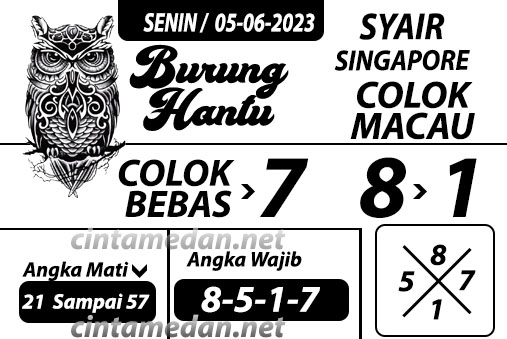 Syair%20burung%20hantu%20NEWSING.jpg