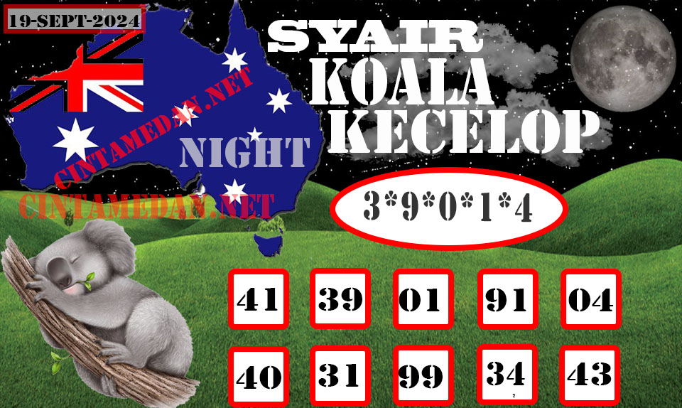 SYAIR%20KOALA%20KECELOP-19.jpg