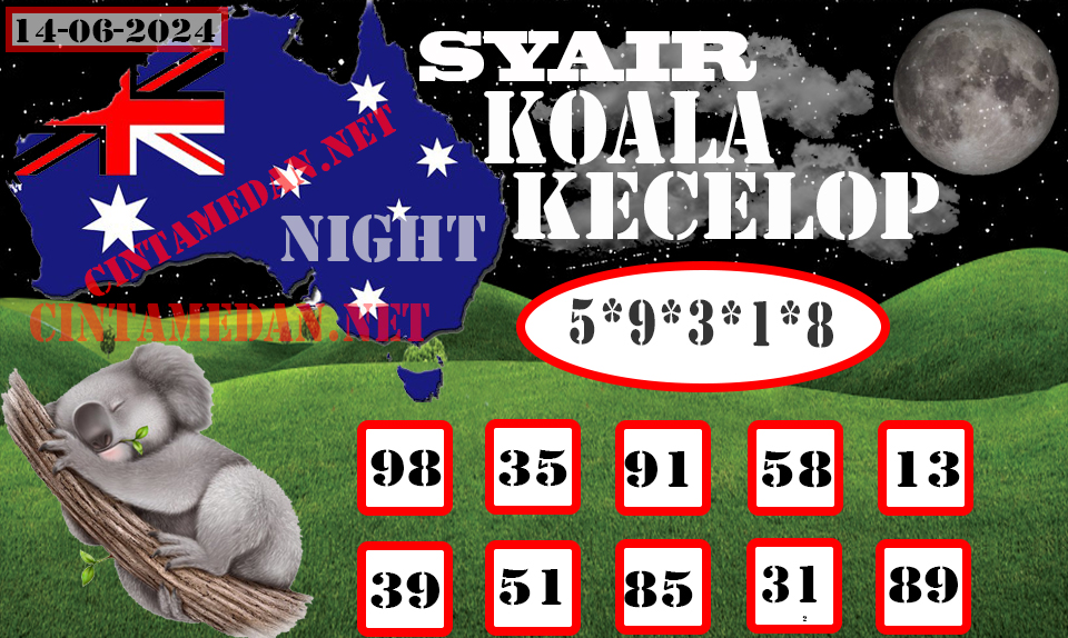 SYAIR%20KOALA%20KECELOP.jpg