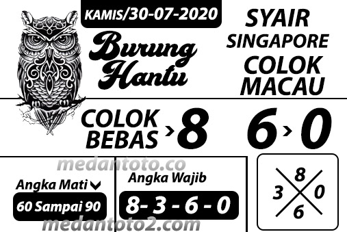 SYAIR%2030%20Copy.jpg
