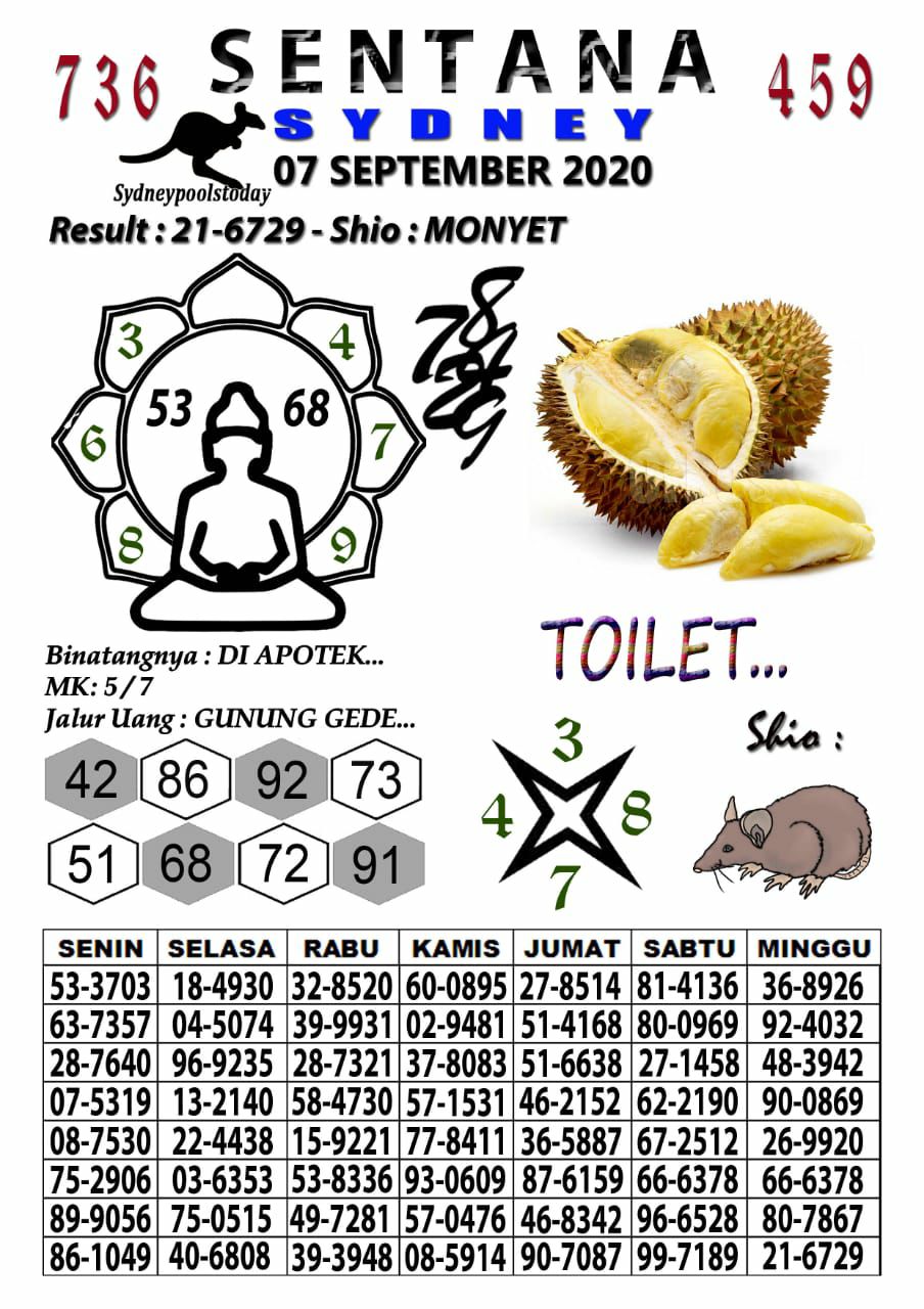 41465532-5161-42e9-8643-76d203db864a.jpg