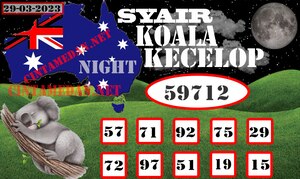 SYAIR KOALA KECELOP (1).jpg