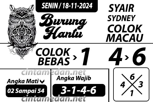 Syair%20burung%20hantu.jpg