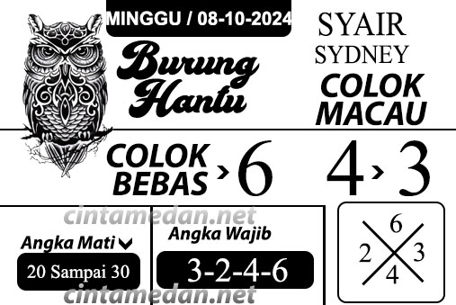 Syair%20burung%20hantu-%20SYD.jpg