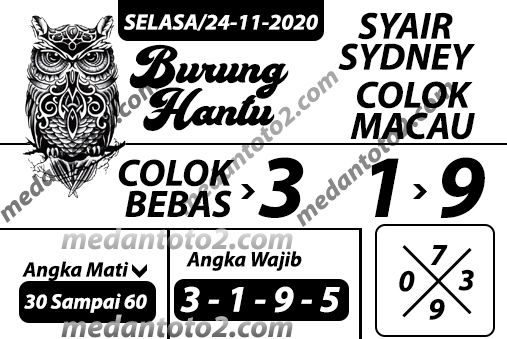 Burung%20Hantu%20PSD.jpg