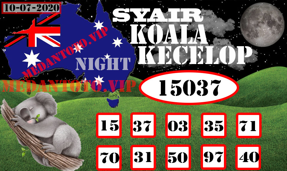 SYAIR KOALA KECELOP 10 -Recovered-Recovered-Recovered.jpg (960Ã574)