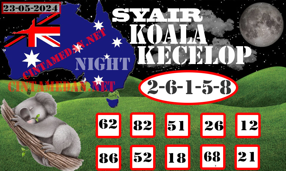 SYAIR%20KOALA%20KECELOP.jpg