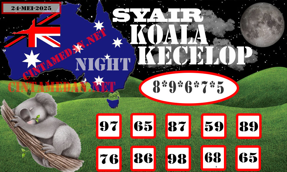 SYAIR%20KOALA%20KECELOP-Recovered.jpg