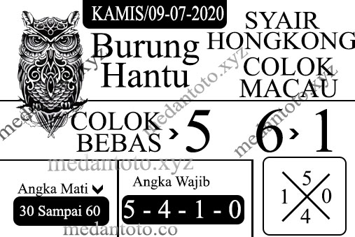 burung hantu newHK -09 Recovered.jpg (507Ã339)