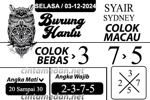 Syair%20burung%20hantu%20-%20SYD.jpg