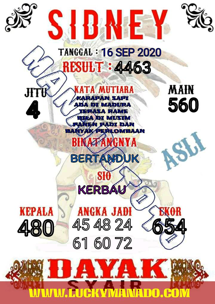 9b341ae0-df84-4eba-bd19-7e23057786ff.jpg