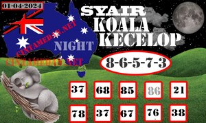 SYAIR KOALA KECELOP.jpg