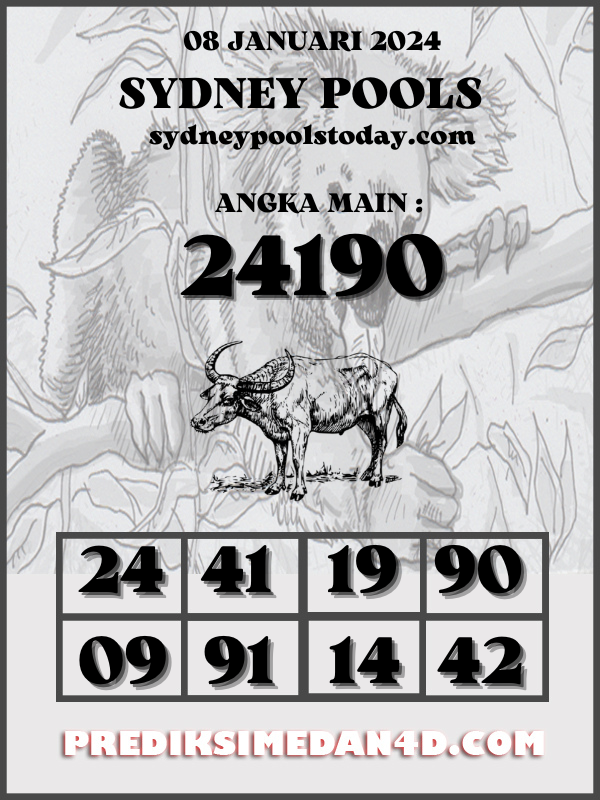 SYAIR%20KOTAK%20SYDNEY.png