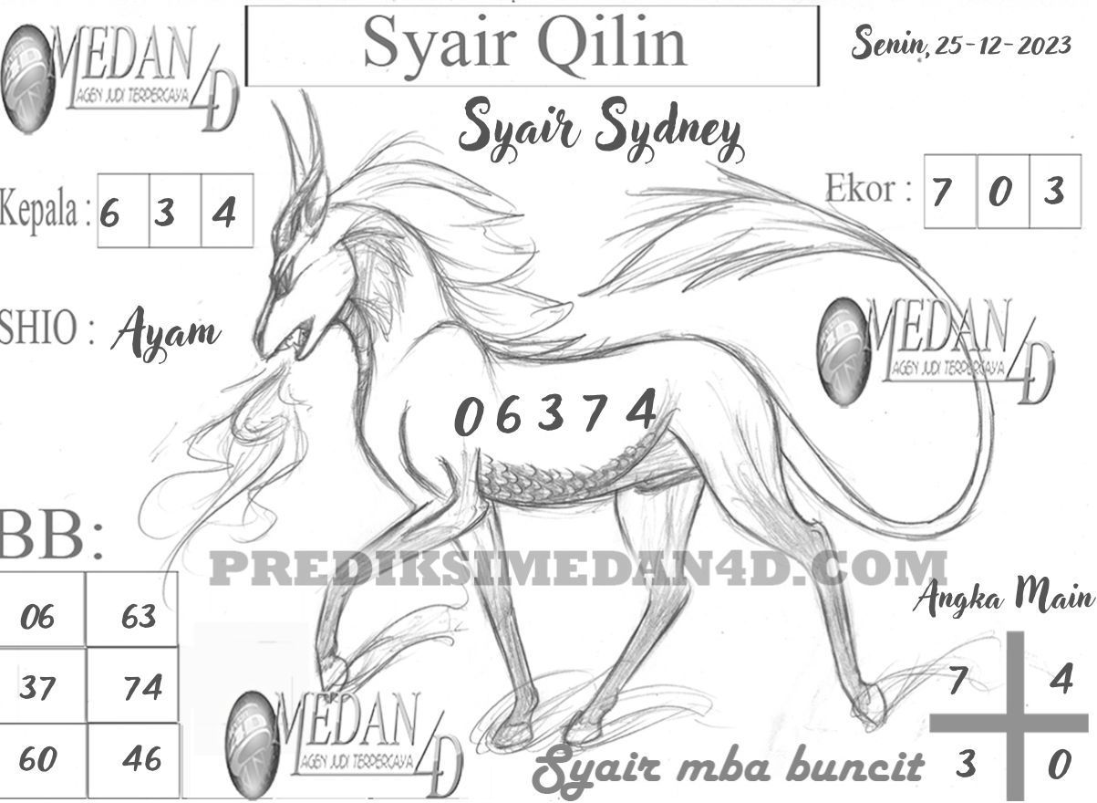 SYAIR%20QILIN%20SYDNEY.jpg