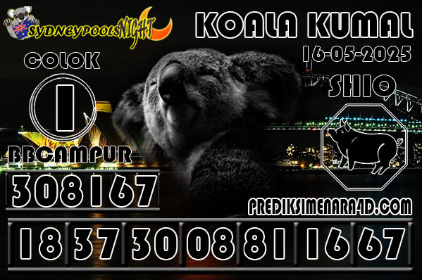 KOALA%20KUMAL.jpg