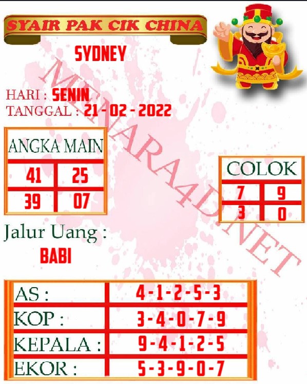 SYAIR%20SYDNEY.jpg