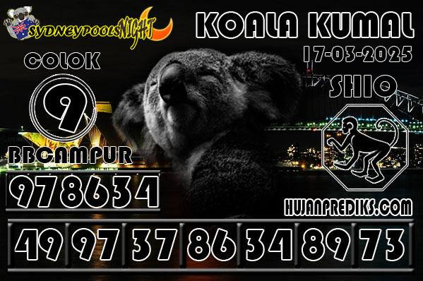 6%20KOALA%20KUMA.jpg