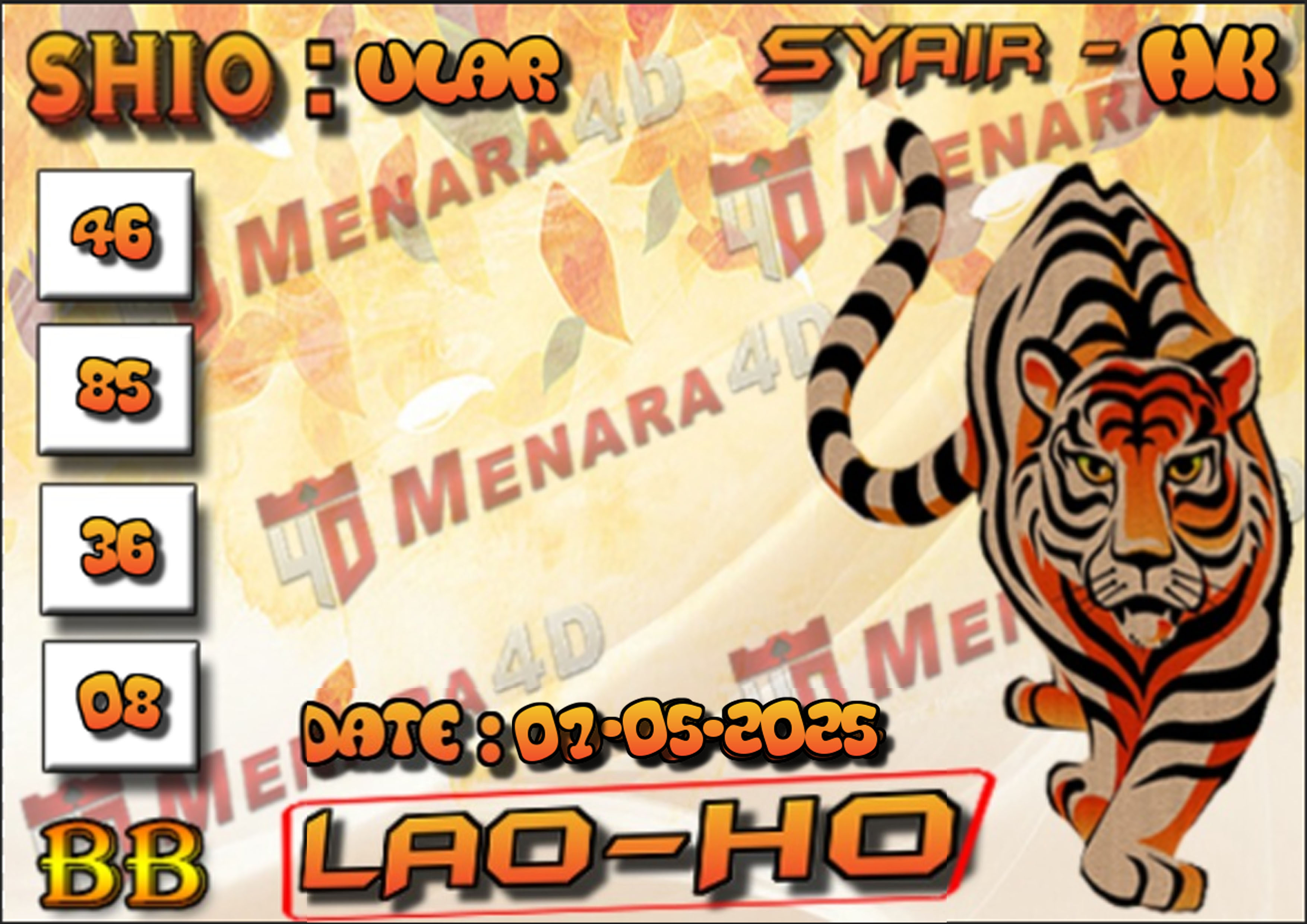 MACAN 5 HK.jpg