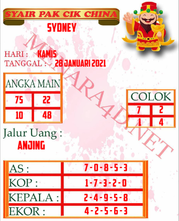 PAK%20CIK%20SD.png