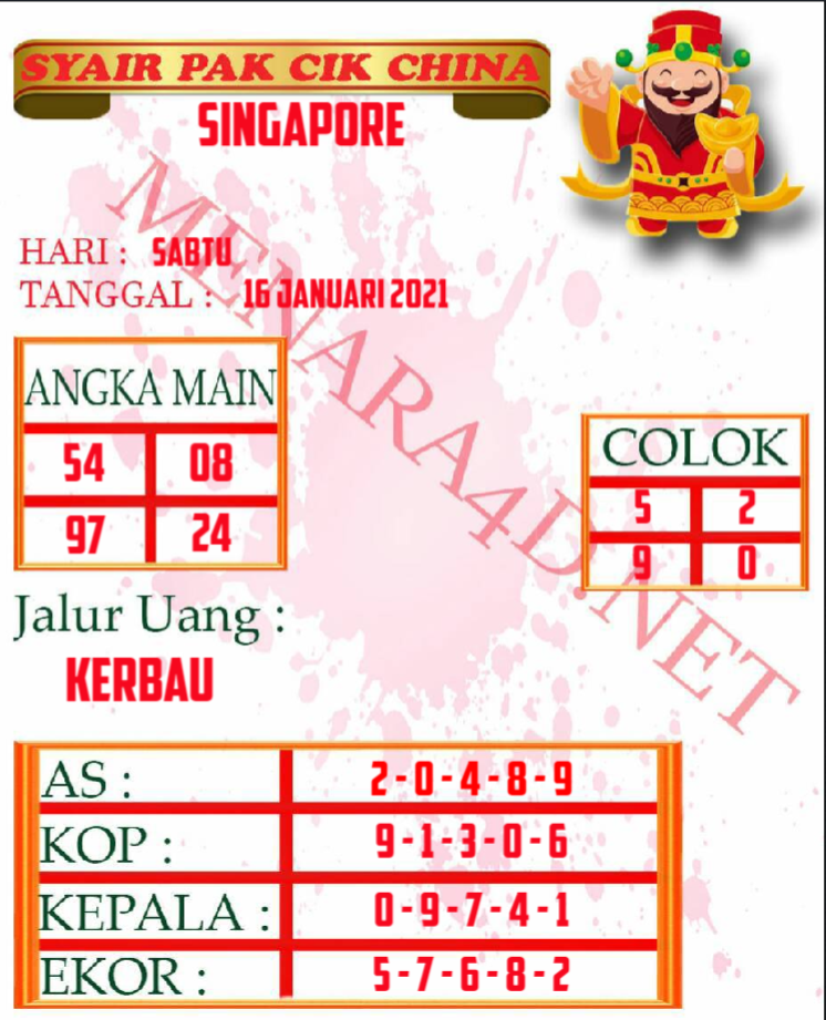 PAK%20CIK%20SINGAPORE.png