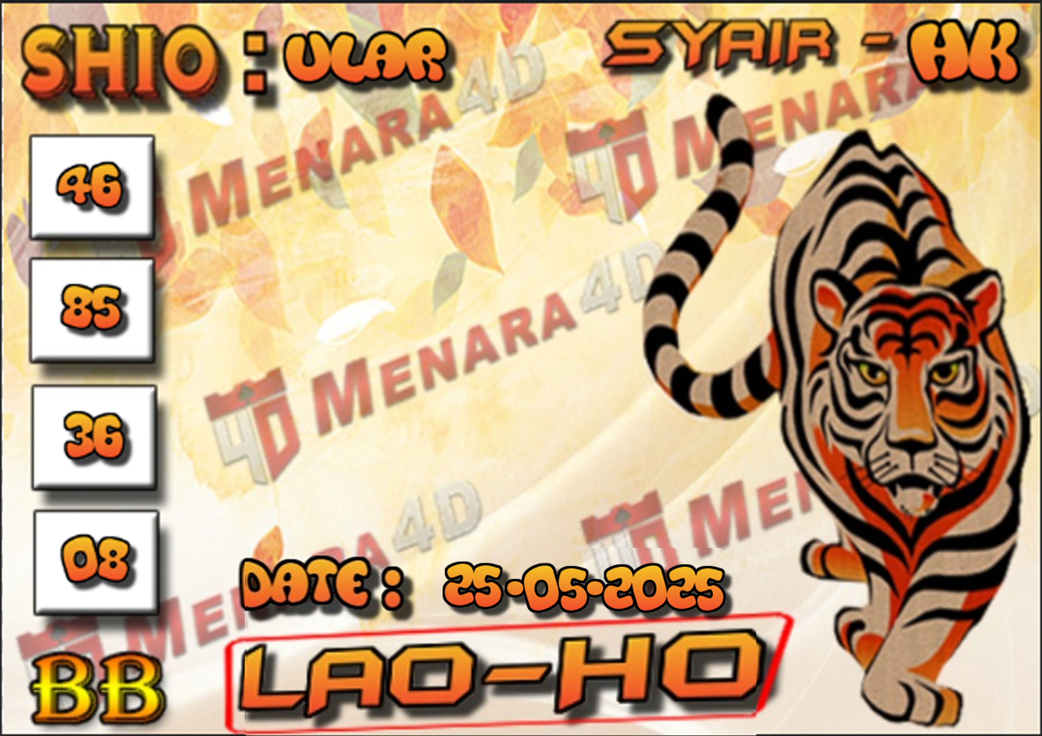 MACAN 5 HK.jpg