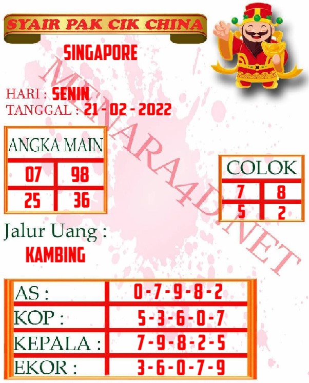 SYAIR%20SINGAPORE.jpg