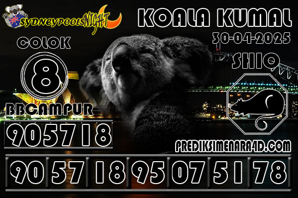 KOALA KUMAL6.jpg