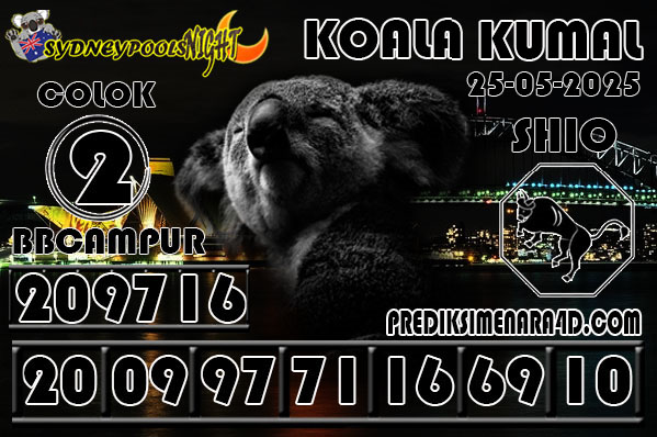 KOALA KUMAL6.jpg