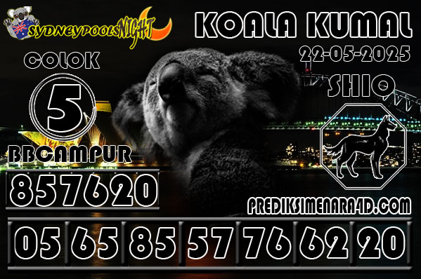 KOALA%20KUMAL.jpg