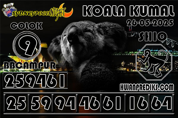 KOALA KUMAL6.jpg