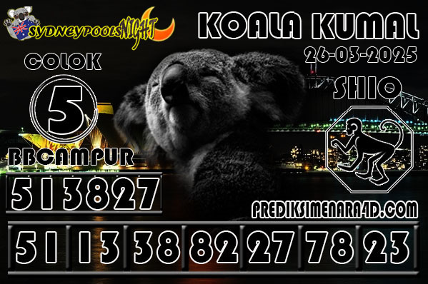 KOALA%20KUMAL6.jpg