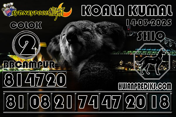6%20KOALA%20KUMA.jpg