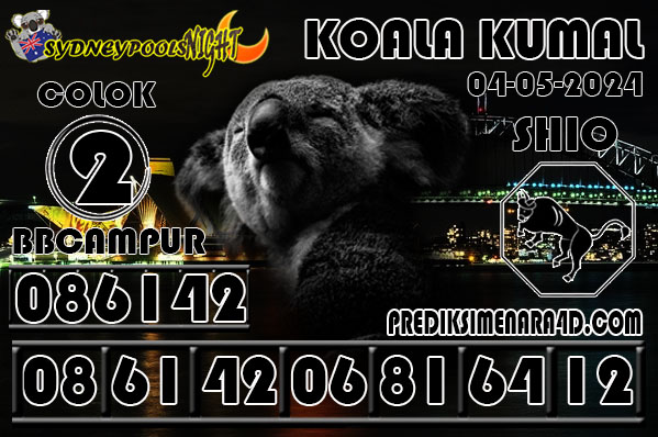 KOALA KUMAL6.jpg