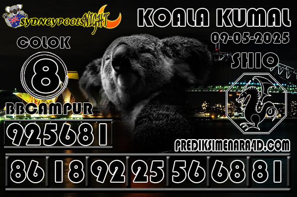 KOALA%20KUMAL6.jpg
