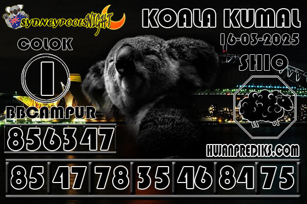 6%20KOALA%20KUMA.jpg