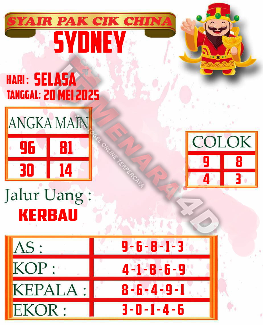 PAKCIK%20TERBARU%20SYD.jpg