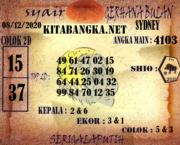 SD2.png