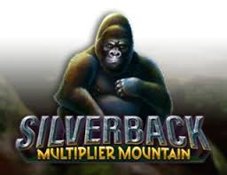 Silverback Multiplier Mountain
